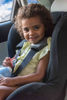 Picture of Seatbelt Pads Grey Melange (2pcs)