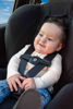 Picture of Seatbelt Safety Clip