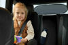 Picture of Rear Window Sunshade