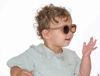 Picture of Sunglasses Bora Bora Taupe