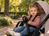Afbeeldingen van Buggy Steering wheel